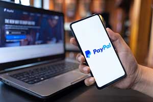 Paypal custom web application