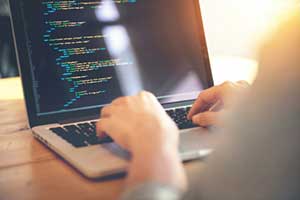 Programmer developing website that meets Section 508 compliance standards