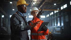 Employees collaborating using custom erp software