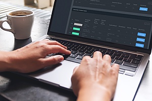 a custom web portal being developed by a professional