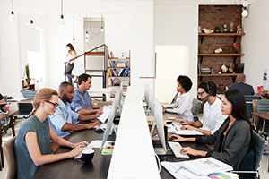In-house staff working on IT project
