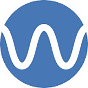 WAVE Tool Logo