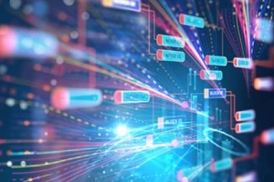 software complex structure