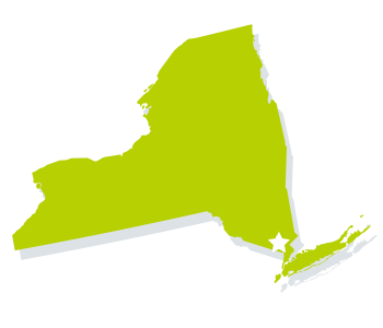 New York Vector