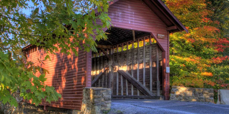 Bridge among trees in Frederick