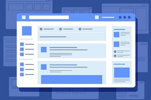 custom web portal development