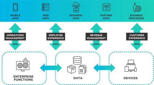 Points scored API role in data