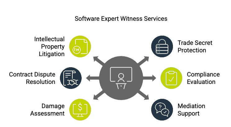 Notable Features & Functionalities A Software Expert Witness Offers